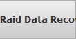 Raid Data Recovery Point No Poin raid array